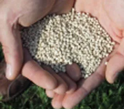 Naturion production