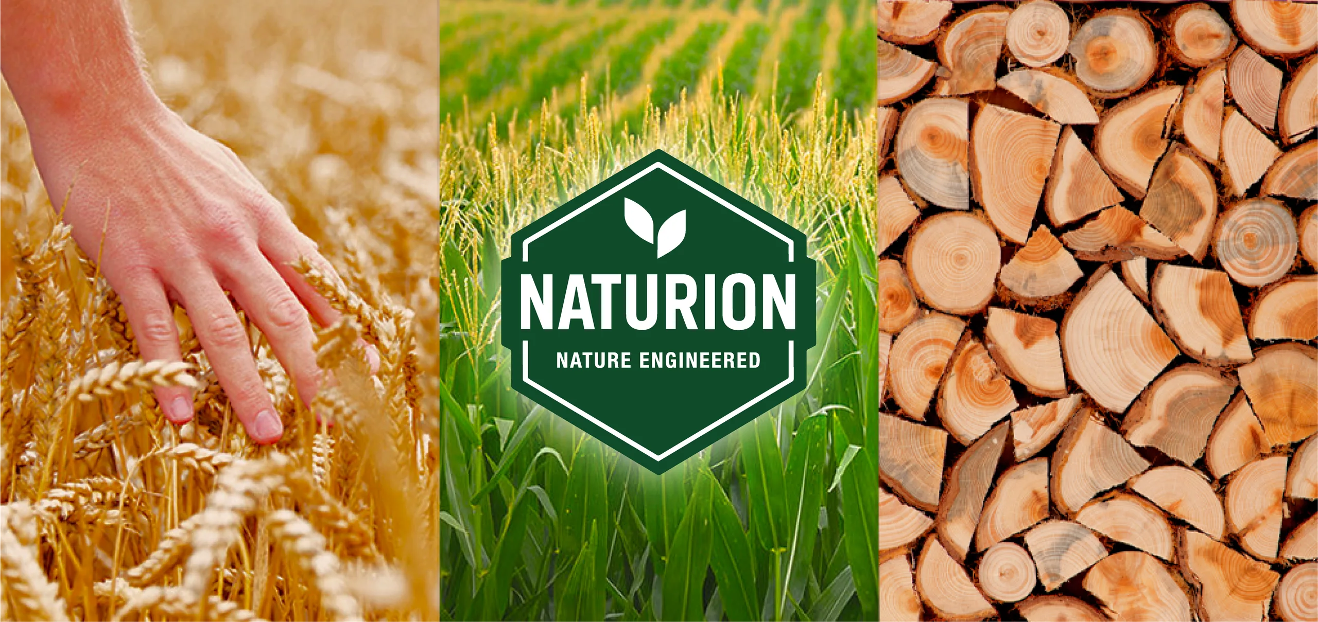 NATURION materials